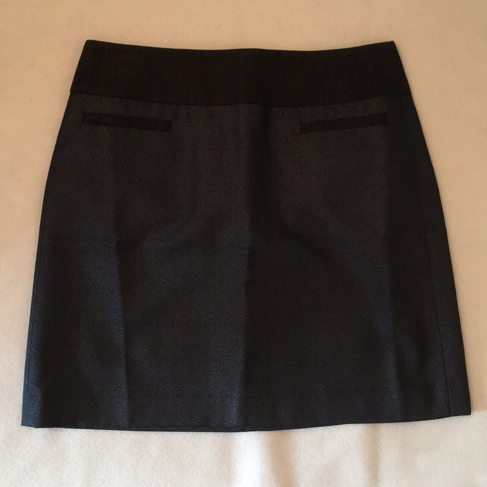 Ann Taylor Loft skirt NWT